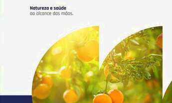 Imagem 7: Invista no seu futuro, Apartamento na planta na vila industrial