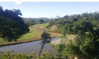 Imagem 4: Vende-se uma excelente fazenda 25 Alqueires