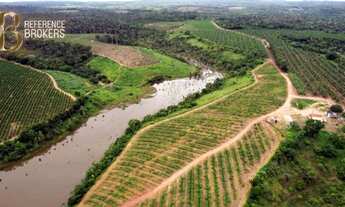 Imagem: OPORTUNIDADE! Fazenda produzindo cacau