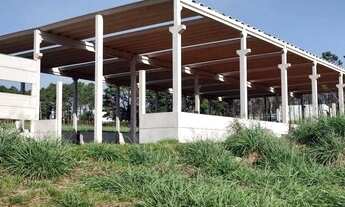 Imagem 4: GALPÂO INDUSTRIAL EM CONSTRUÇÃO