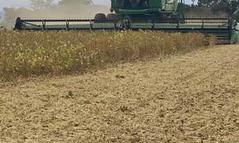 Imagem 2: Fazenda em Niquelândia - 392 Alqueires