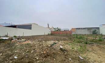 Imagem: Lote a venda no mata atlantica 2