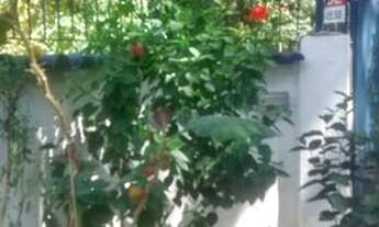 Imagem 5: SOBRADO - JARDIM EUROPA - SP