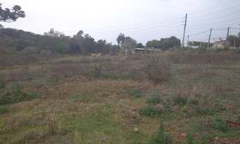 Imagem 5: Vendo Chácara com 5.000 metros Novo Bandeirantes