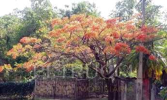 Imagem 4: Chácara - Sousas - Campinas