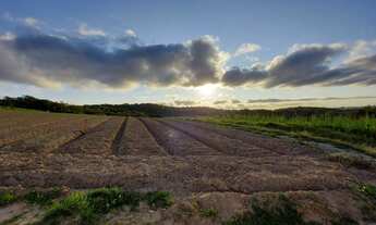 Imagem 5: Lote/Terreno para venda possui 600 metros quadrados em Centro - Cotia - SP