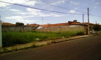 Imagem 3: Araçatuba - Lote/Terreno - Presidente