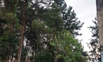 Imagem: Sítio em embuguacu