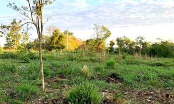 Imagem 2: Chacrinha - Pego seu carro ou moto no brick