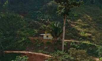 Imagem 7: SÍTIO EM SANTA TERSA