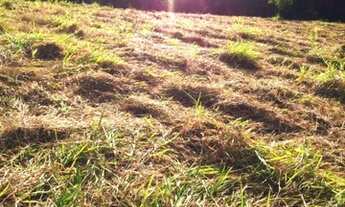 Imagem 5: Lote/Terreno para venda tem 1000 metros quadrados em Centro - Bom Jesus dos Perdões - SP