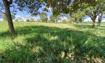 Imagem 2: Chácara 4 alqueires em Uruana-go