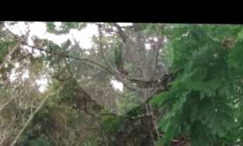 Imagem 5: Atibaia - Terreno Padrão - Nova Gardênia