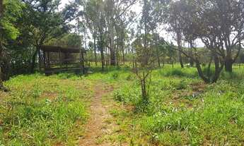Imagem 4: Sitio Fazendinha Terreno Chácara a 800 metros da BR 381, Vieiras, Itatiaiuçu MG