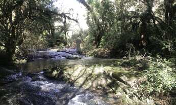 Imagem: Chácara para Venda em Centro Bocaiúva