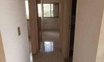 Imagem 6: Apartamento 55m² Vila Paulicéia - Venda/Locação