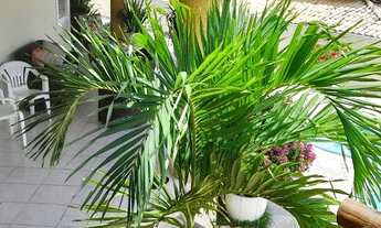 Imagem 2: Aluguel de linda casa com 3 quartos em Vilas do Atlântico, Lauro de Freitas - BA