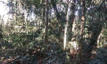 Imagem 5: Chácara 5732 m² - Avencal