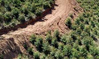 Imagem 7: AG Bom negocio Terreno / lote com venda por R$35.000