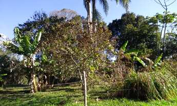 Imagem 4: Fazenda/Sítio/Chácara para venda tem 109000 metros quadrados em Ratones - Florianópolis