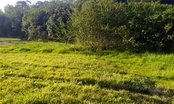 Imagem 3: Sitio maravilhoso