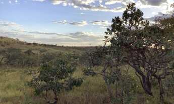 Imagem 5: Vendo lote 5000m² santo Antonio do Descoberto