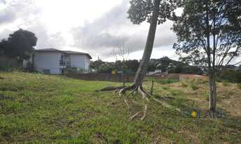 Imagem 5: Terreno à venda com uma casa de 2 Quartos, 10 Vagas, 1391M², Pantanal, Florianópolis - S