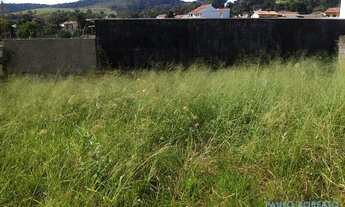 Imagem 4: TERRENO - JARDIM PINHEIROS - SP