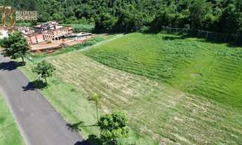 Imagem 3: Excelente lote no condomínio Fazenda SerrAzul I, vista mata