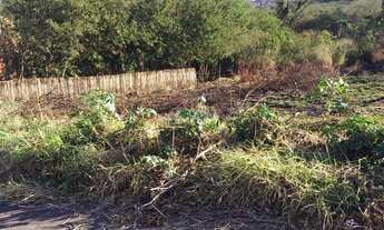 Imagem 4: Terreno - Jardim das Torres