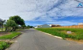 Imagem 4: SENADOR CANEDO - Terreno Padrão - Das Indústrias