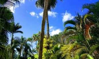 Imagem 6: Fazenda/Sítio/Chácara para venda tem 12000 metros quadrados com 5 quartos