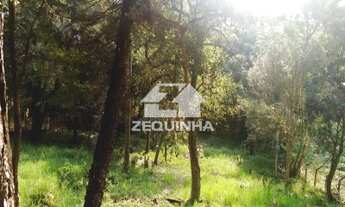 Imagem: Comercial - Jardim Paulista