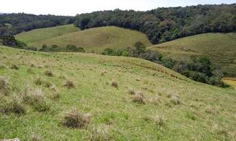 Imagem 3: RIBEIRÃO BRANCO - RURAL - Zona Rural