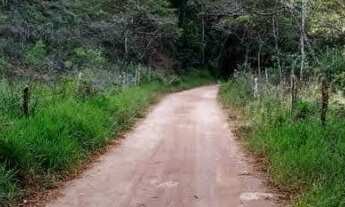 Imagem 7: Sítio de 2 alqueires com duas casas, mata e nascente, próximo a Guaçui-ES