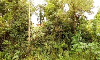 Imagem 2: SãO LEOPOLDO - Terreno Padrão - Campestre