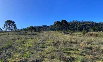 Imagem 6: Terreno próximo ao Morro da Igreja em Urubici