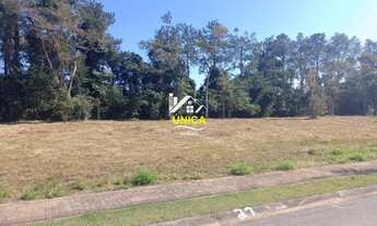 Imagem 4: TERRENO EM GUARAREMA; ÚNICA IMÓVEIS-SP. 100% PLANO, SEM DEFEITO