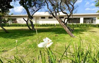 Imagem 9: TERRENO VISTA LAGOA