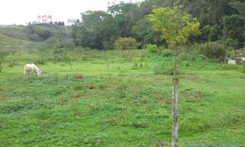 Imagem 2: AREA - CURURUQUARA - SP