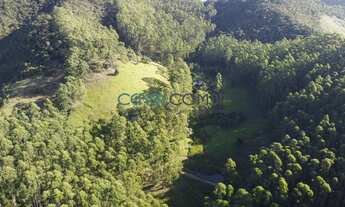 Imagem: BELÍSSIMA FAZENDA DE 587 HA, ECOLÓGICA