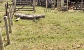 Imagem 2: Fazenda em Turvania