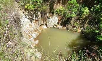 Imagem 6: Chácara 4 alqueires em Uruana-go