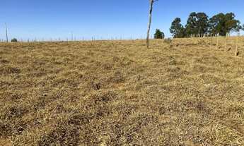 Imagem 5: Chácara em bonfinopolis