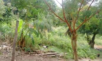 Imagem 5: Venda | Lote/Terreno | Nacional/cidade