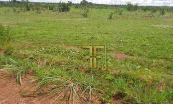 Imagem 6: Fazenda 470 Alqueires, Mutunópolis, GO