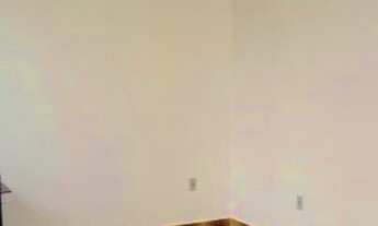 Imagem 2: CASA TÉRREA - VILA SÃO CRISTÓVÃO - SP