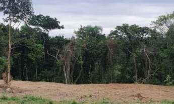 Imagem 2: Fazenda/Sítio/Chácara para venda possui 4500 metros quadrados com 1 quarto