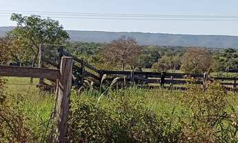 Imagem 3: Vendo 28 Héctares próximo capão verde . Mt