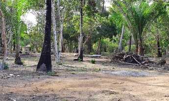 Imagem 4: Terreno para Venda em Porto Seguro, Caraiva